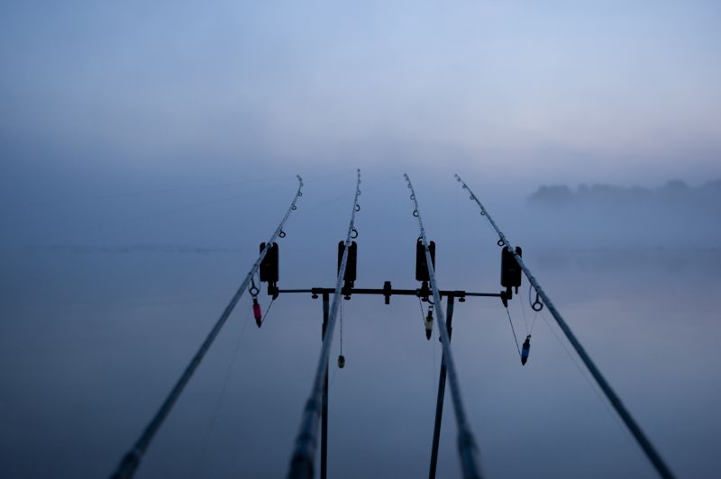 Pêcher la Carpe en Loire-Atlantique - Fédération de pêche 44