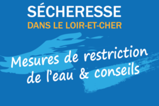 Actualité sécheresse 