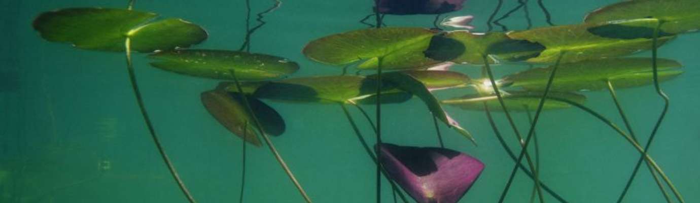 OUVERTURE PÊCHE DES CARNASSIERS - Fédération de pêche du Var