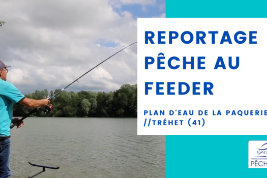 Reportage Pêche au Feeder FD41